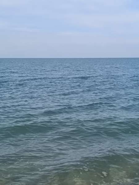 Responsive image