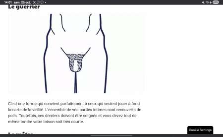 Responsive image