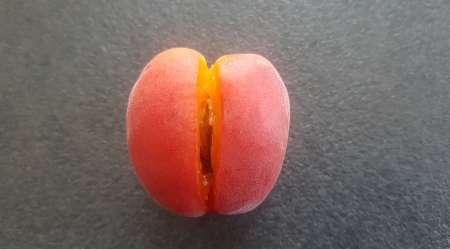 Super cunni pour F black qui adore �tre l�ch�e