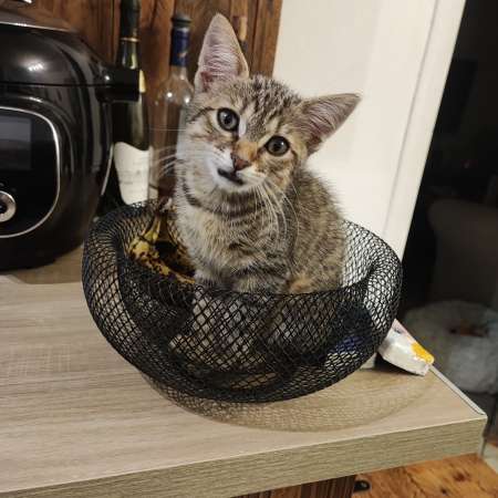 Moment fun sans prise de t�te