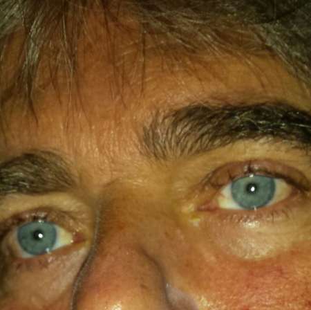 Recherche actif doux calins